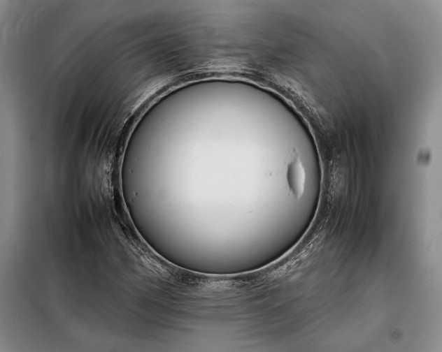 X0000098191162200805011117