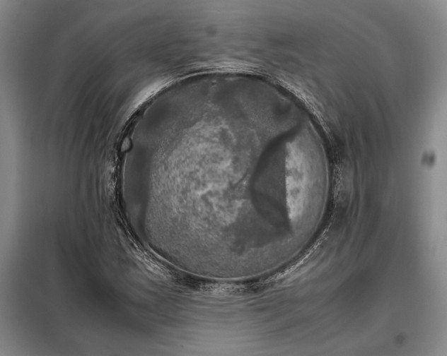 X0000098191163200805011117