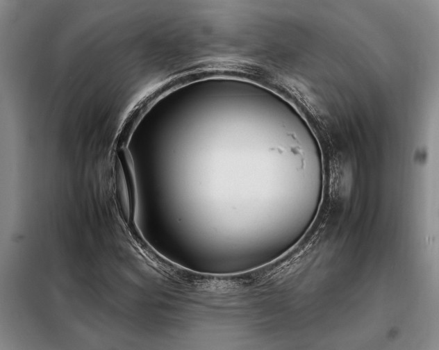 X0000098191164200805011117