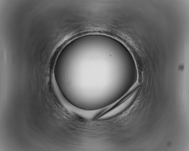 X0000098191165200805011117