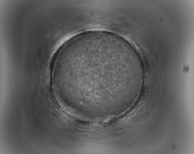 X0000098191167200805011117