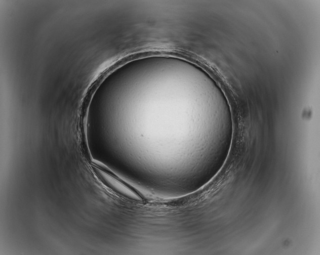 X0000098191168200805011117