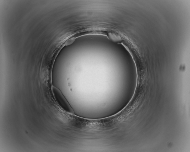 X0000098191169200805011117