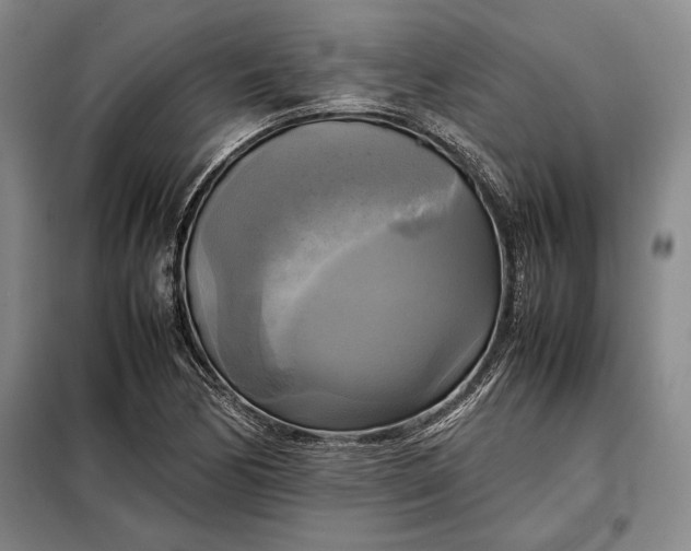 X0000098191170200805011117