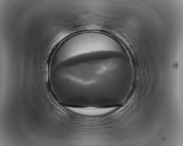 X0000098191171200805011117