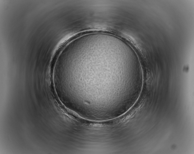 X0000098191172200805011117