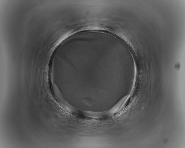 X0000098191173200805011117