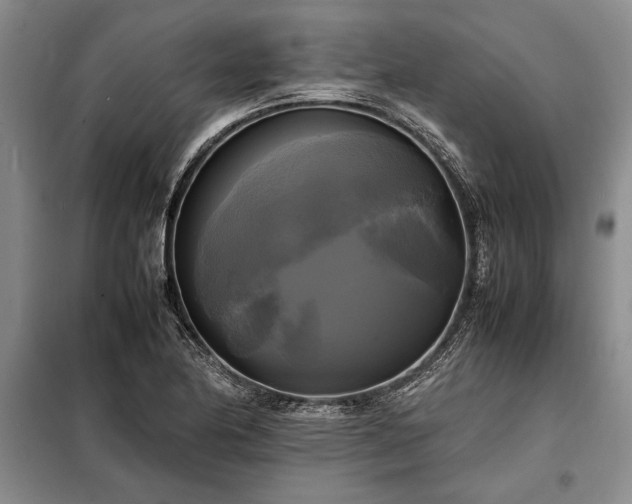 X0000098191174200805011117