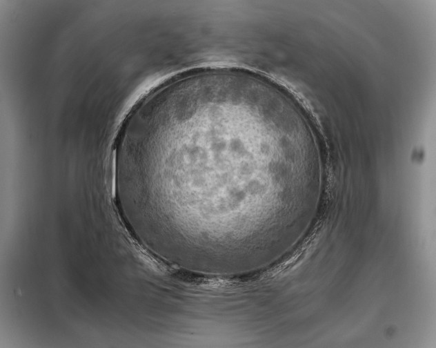 X0000098191175200805011117