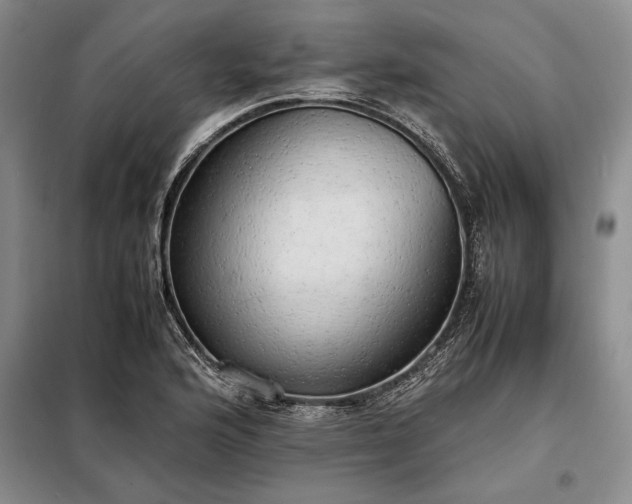 X0000098191176200805011117