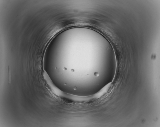 X0000098191177200805011117