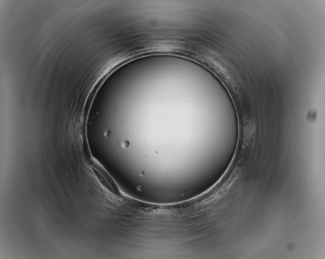 X0000098191178200805011117
