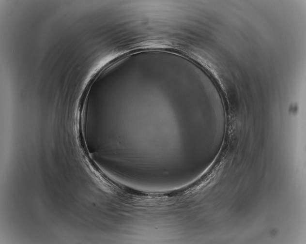 X0000098191179200805011116