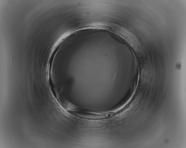 X0000098191180200805011116