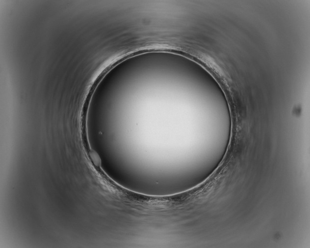 X0000098191181200805011116