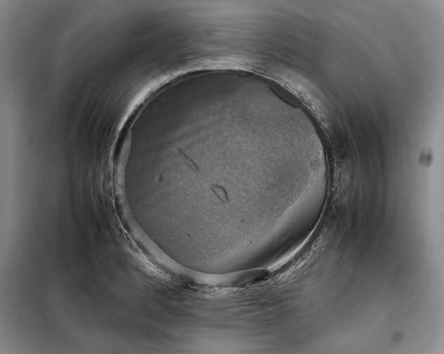 X0000098191184200805011116