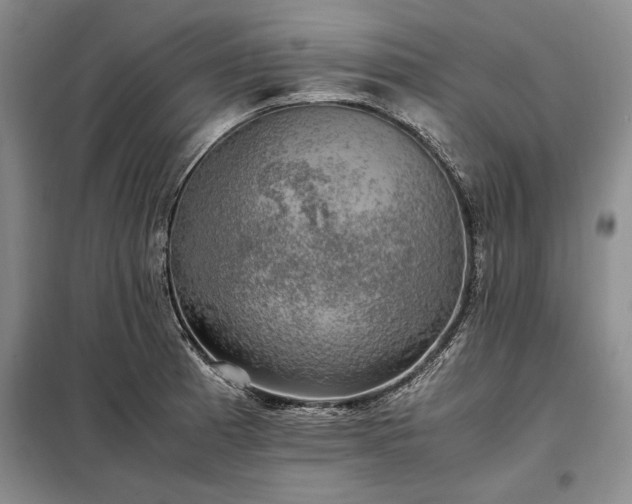 X0000098191185200805011116