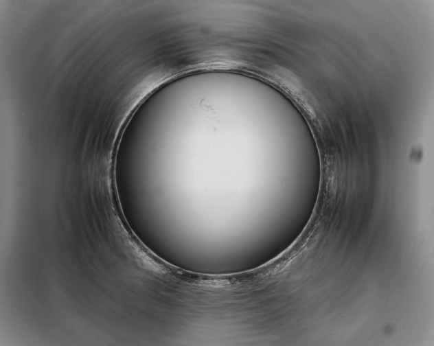 X0000098191186200805011116