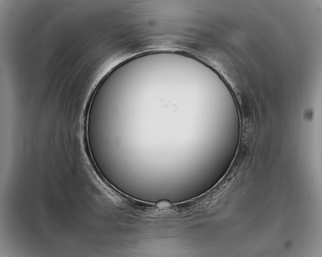 X0000098191187200805011116