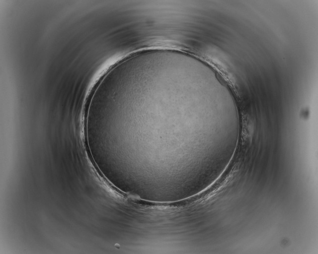 X0000098191188200805011116