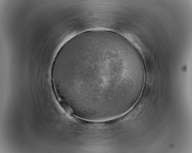 X0000098191189200805011116