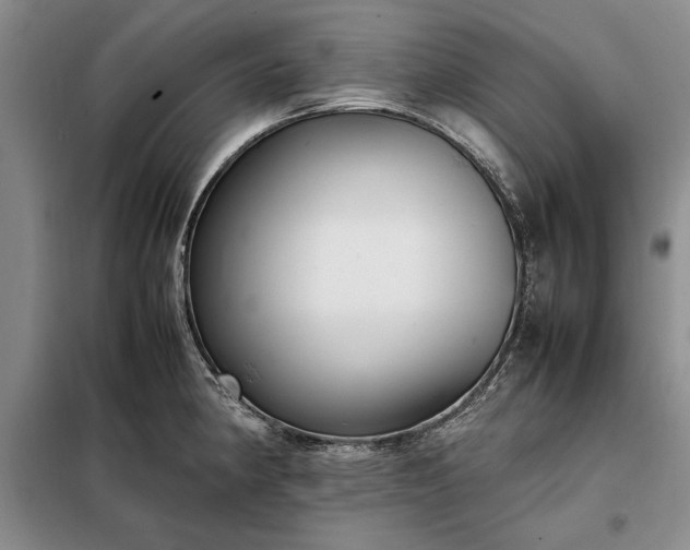X0000098191190200805011116