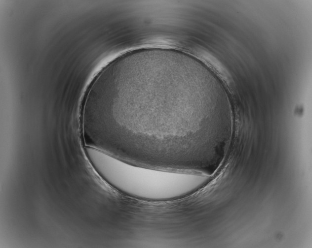 X0000098191192200805011116