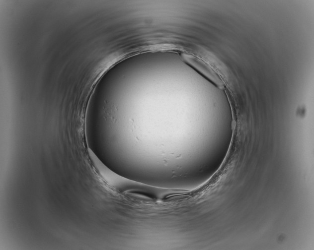 X0000098191193200805011116