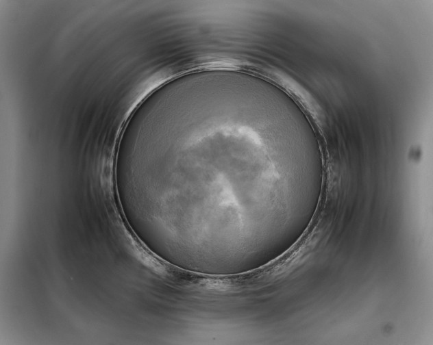 X0000098191194200805011116