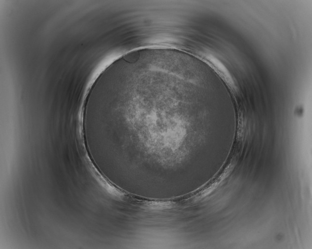 X0000098191196200805011116