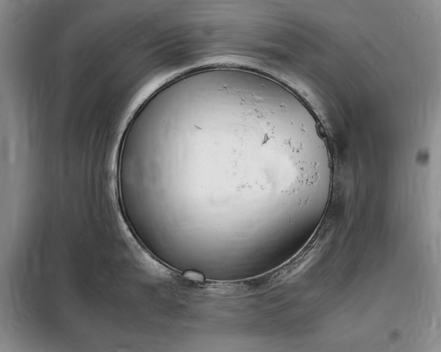 X0000098191199200805011116
