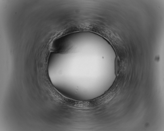 X0000098191201200805011116