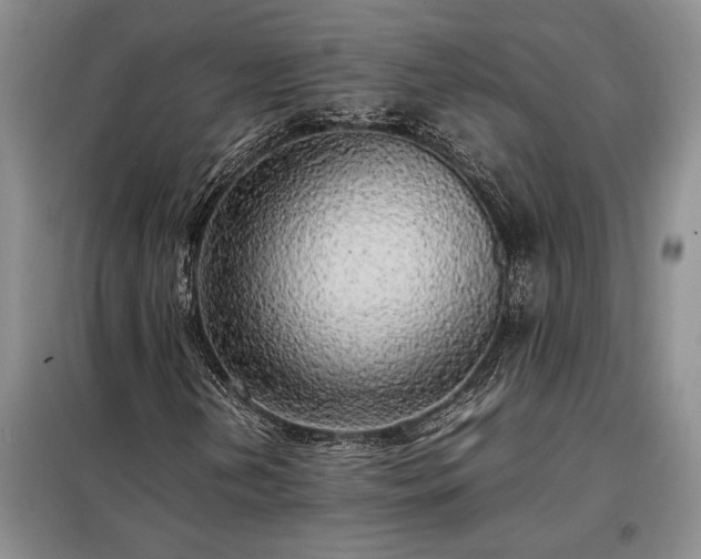 X0000098191202200805011116