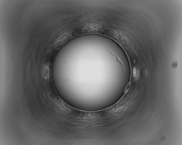 X0000098191203200805011116