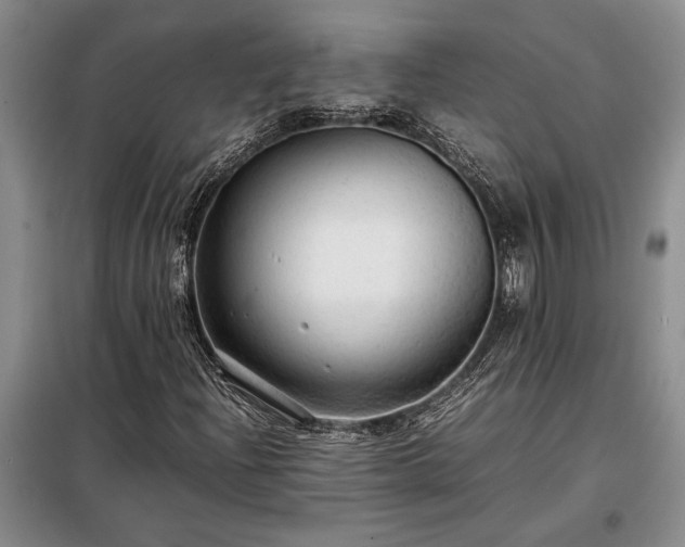 X0000098191204200805011116