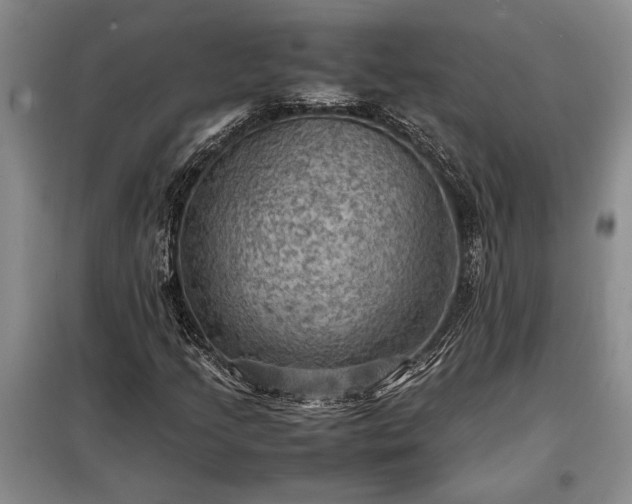 X0000098191205200805011116
