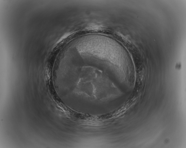 X0000098191206200805011116