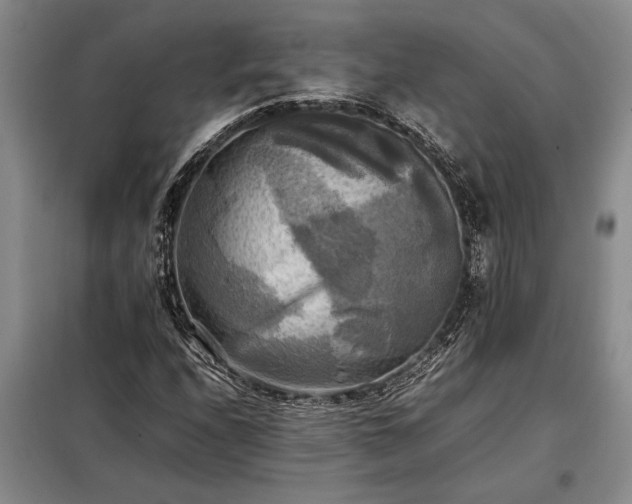 X0000098191208200805011116