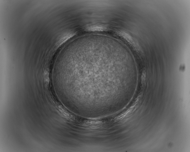 X0000098191209200805011116
