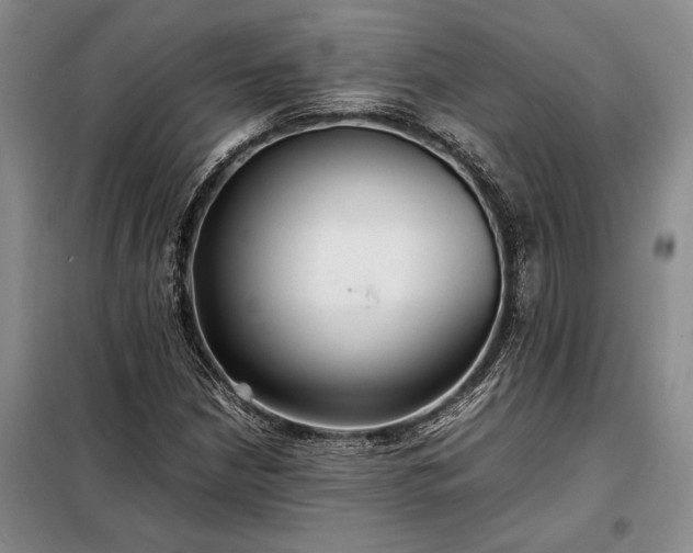 X0000098191210200805011116