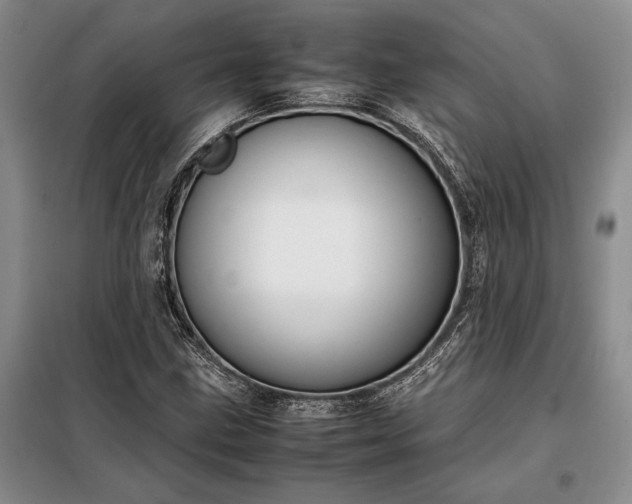 X0000098191211200805011116