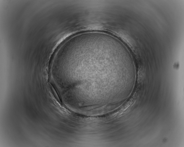 X0000098191212200805011116