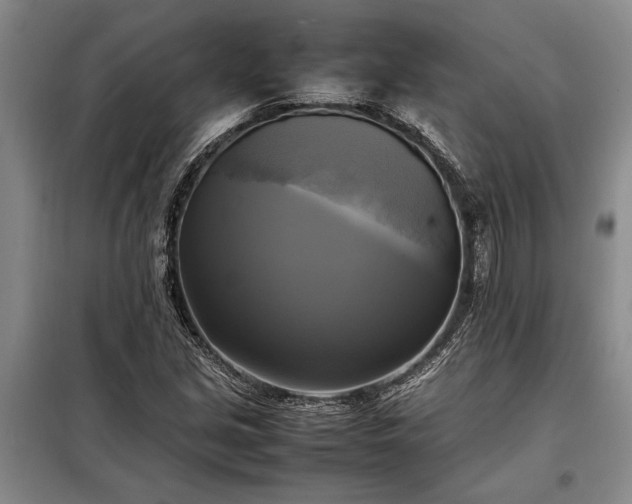 X0000098191213200805011116