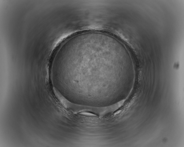 X0000098191214200805011116