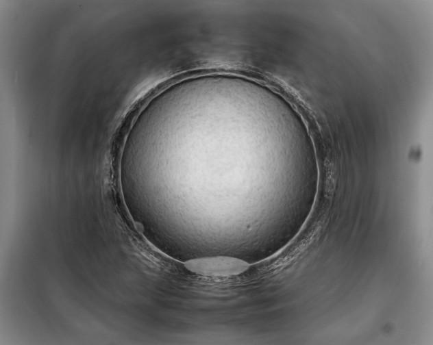 X0000098191215200805011116