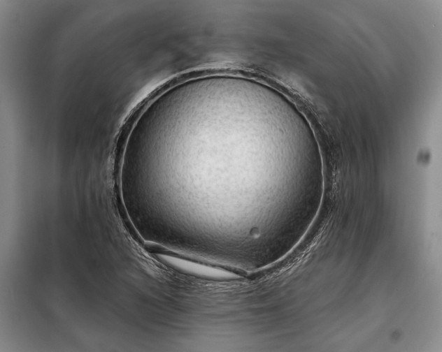 X0000098191216200805011116