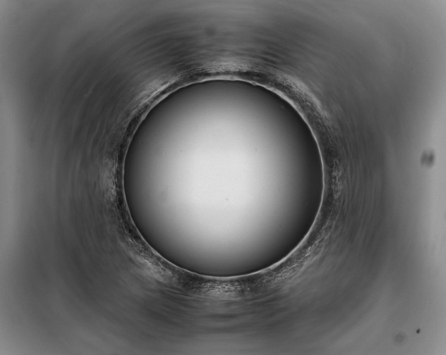 X0000098191217200805011116