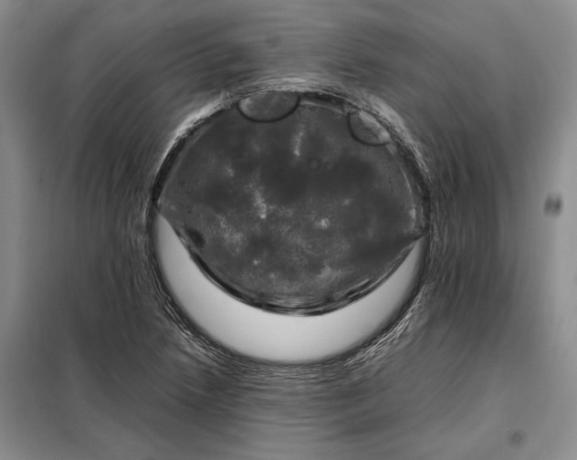 X0000098191218200805011116