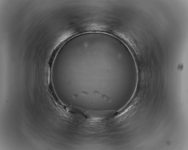X0000098191219200805011116