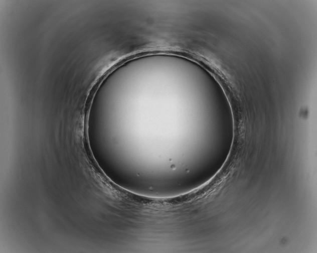 X0000098191220200805011116